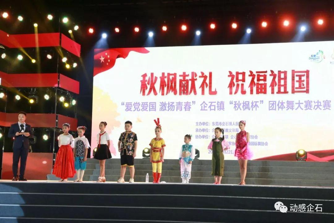 小猫钓鱼正版下载中文版